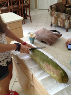 bondoge:   baconstuck:  bondoge:  this is a giant cucumber that we found hanging from a tree on the side of the road. i tried it and it was disgusting so i threw it in the neighbors hot tub  CUCUMBERS GROW ON VINES. I HAD CUCUMBERS IN MY GARDEN THE LAST