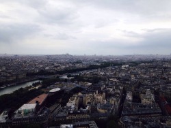 amarefeles:  Paris from the Eiffel tower 