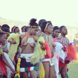   Swazi Reed Dancers, Via Dominikform  