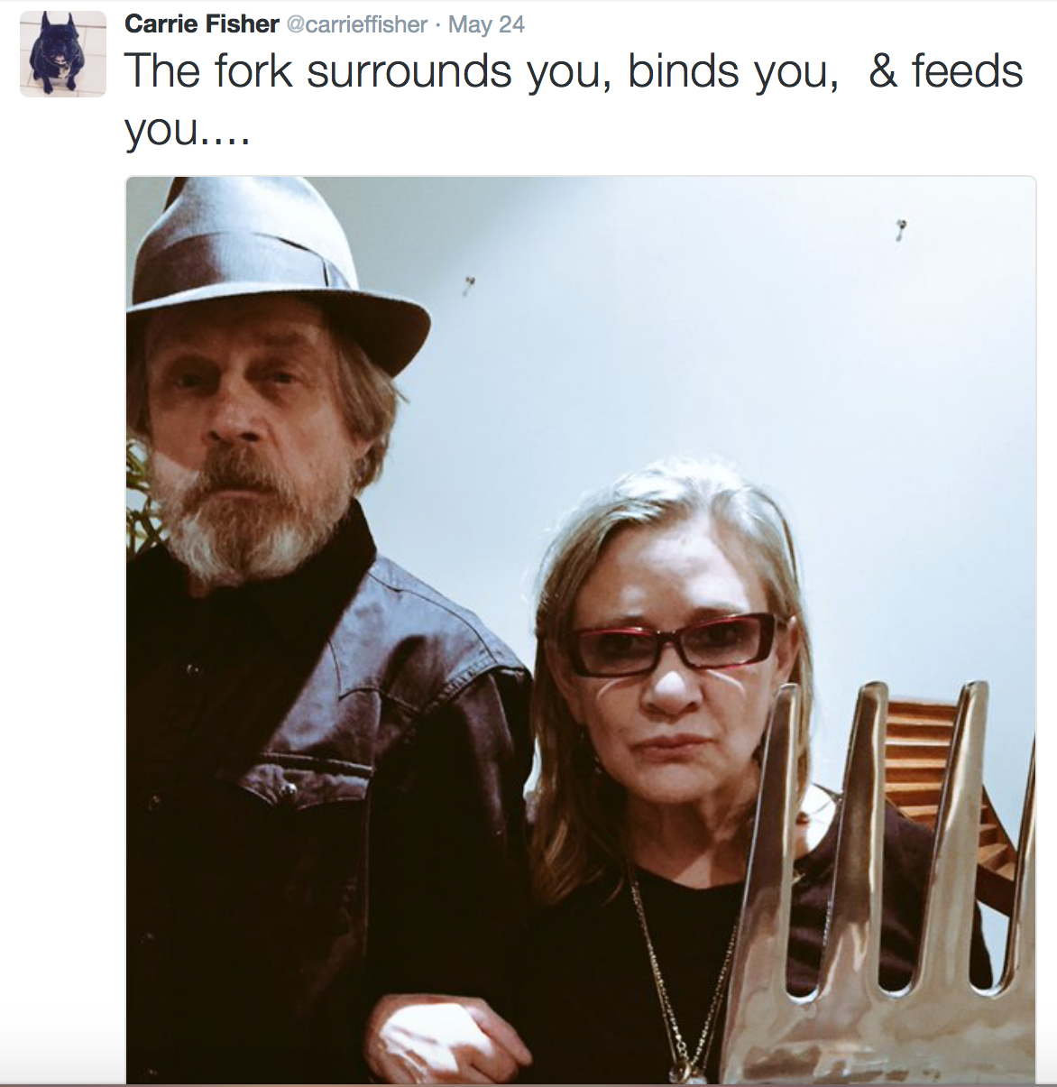 agentromanoffsir:some carrie fisher tweets to brighten your day