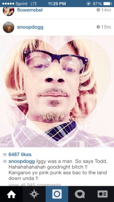 fuckyeavanity:  lowmuthafvckinkey:  polosweater:  SO SAYS TODD  Yo what da fuck is goin on wit Snoop y’all?  my question is what the fuck happened with iggy?