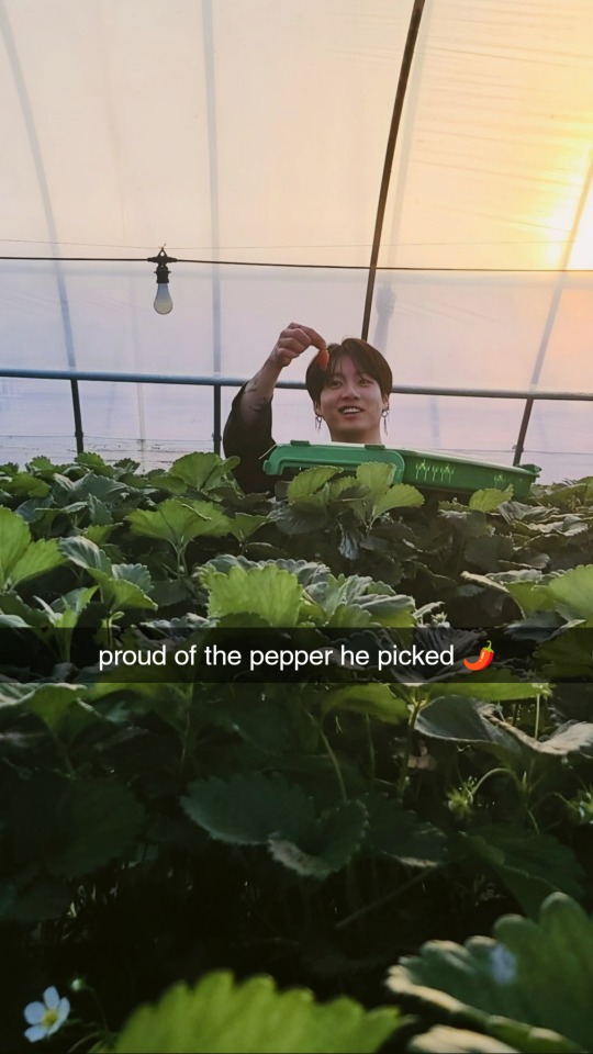 How About Jungkook For What Would Your Snapchat Look Like If Jk Is Your Bf.. The Snapchat Series Is So