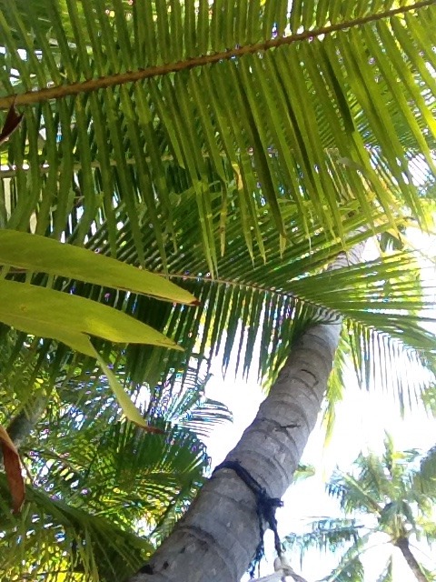 backpackfullofsunshine: