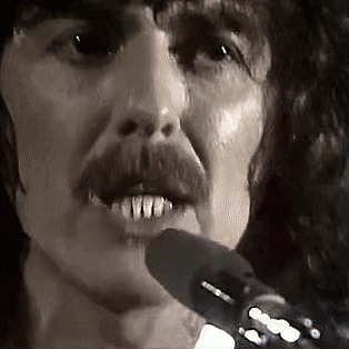 George Harrison (1977) 