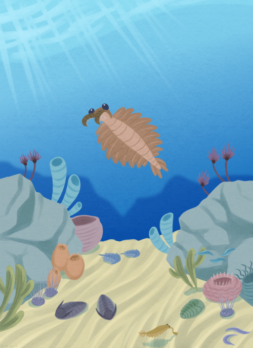 bjekkergauken:Scenic cambrian wiews