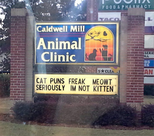 8-bit-hero-of-time:  feigenbaumsworld:  tastefullyoffensive:  This is purrfect. [via]  That’s Hissterical!  Personally I think it’s a bit catty. 
