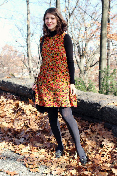 Kallie of happy, honey and lark