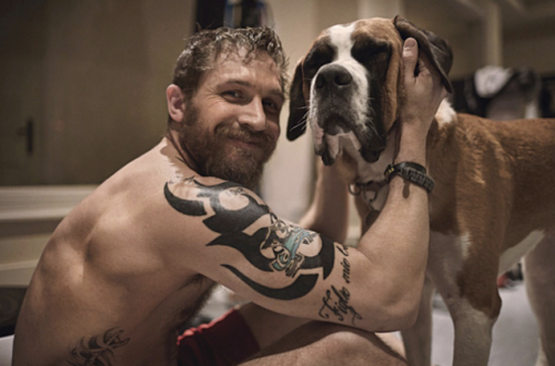 Porn men-of-the-movies:  Tom Hardy’s love for photos