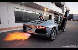 Automotivated:  Bbq Aventador (By Coconut Photography) 