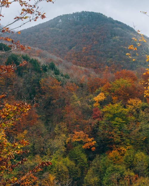 Lauria - Autumn in Prestieri #lauria #basilicata #basilicatadascoprire #mountains #foliage #autumn #