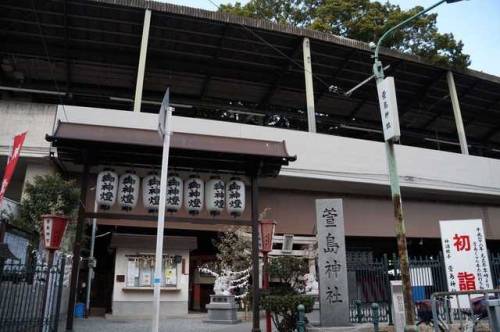 Osaka&rsquo;s Kayashima Station: See A 700 Year Old Tree On The Platform!  Kayashima Station in 