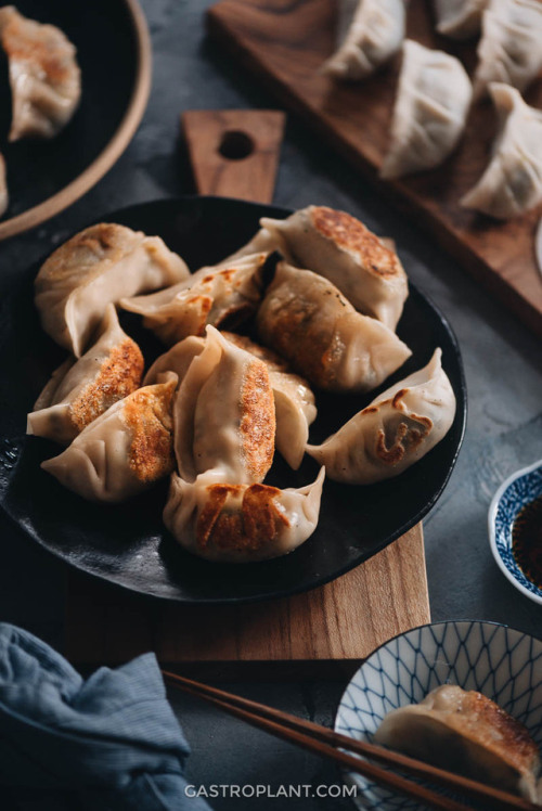 Mushroom DumplingsThese plant-based Chinese dumplings are filled with two kinds of mushrooms, bamboo