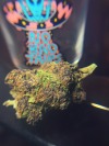 loftycriies:👽 🍄 