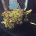 loftycriies:👽 🍄 