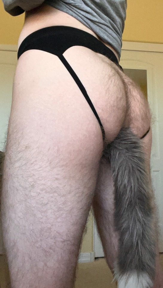Woof Woof? :3
