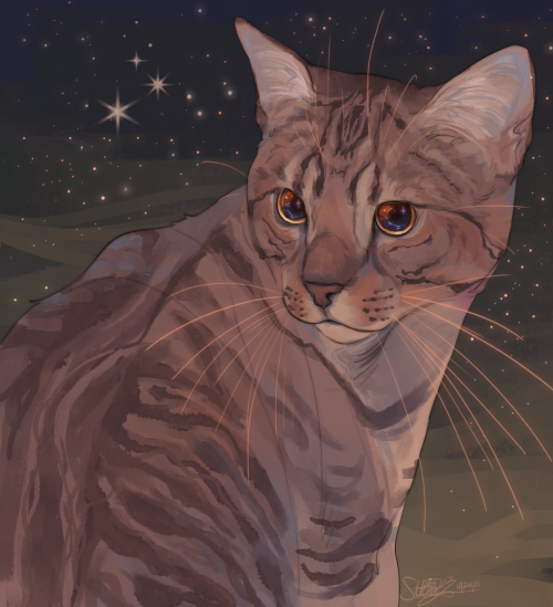 I Dont Even Know If Tumblr Is A Good Site For This But I'm Out Of Options! So: