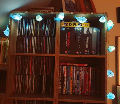 Shark fairy lights - a new take on a traditional Christmas gift theme from @mnementh20  . . . . #sha