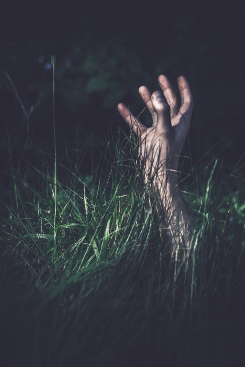 freddie-photography:  Hands of Horror Photoset Now I really am getting into a film mindset. I really enjoyed working on the axe photograph and decided I’d turn it into a small mini series. All shot on a Canon 5D mark II and edited solely in Lightroom