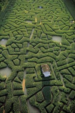 artfreyparis:Labyrinthe de maïs de Cordes-sur-Ciel,