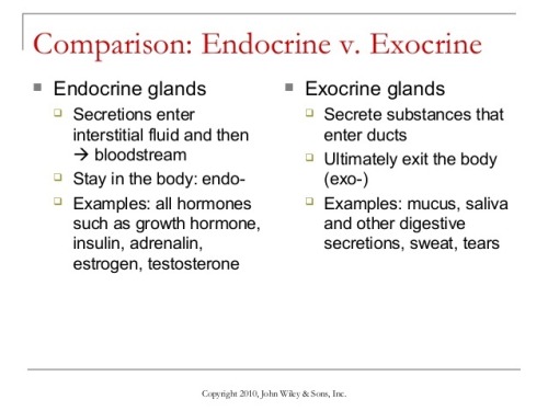 Exocrine system enzymes! It&rsquo;s important to know the difference between exocrine and endocr