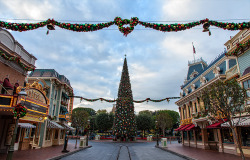 tinkeperi:  Disney Parks: Christmas 2014:) 