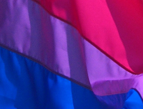 bisexual-community:  gaywrites:  Happy Bi Pride/Bi Visibility Day! If you’re looking for something to do to celebrate, bisexual-community has a whole bunch of resources here. Fellow bisexuals, know that we are important, our feelings are valid, and