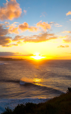 aspworldtour:  Until next time… Photo | aspworldtour 