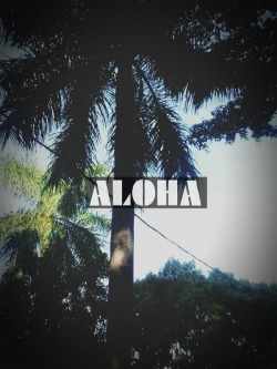 f-r-e-e-m-i-n-d-s:  Aloha.