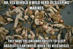 brothersforlifeusmc:  Oorah 