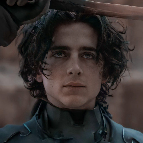 TIMOTHEE CHALAMET ICONS