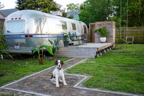 dreamhousetogo:A renovated 1979 Airstream at Vintage Airstream Vacation Rental in New Orleans, LA