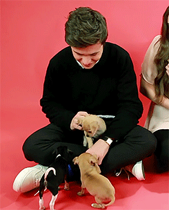 dylanobriyn:Nick Robinson playing with puppies (◠‿◠✿)