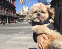 marniethedog:  It’s freezing out here lol