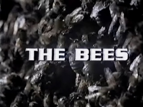 the bees