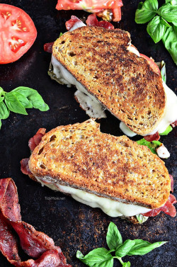 verticalfood:  Turkey Bacon and Avocado Grilled Cheese