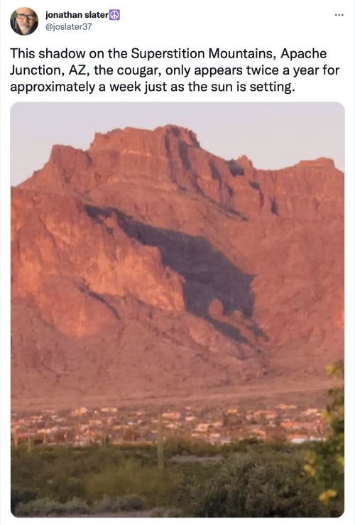 catsbeaversandducks:  Where and when to view the Superstition Mountains cougar shadowIf you want to see this phenomenon in person, head to the vicinity of Superstition Blvd and Goldfield Road in Apache Junction for a relatively unobstructed view.Timing