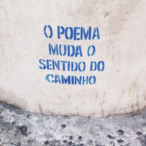 Lamoama