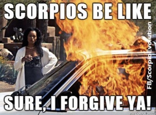 creamygoddesss - SCORPIO SEASON IS ALMOST HERE...