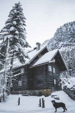 alecsgrg:  Perfect cabin for cold winter