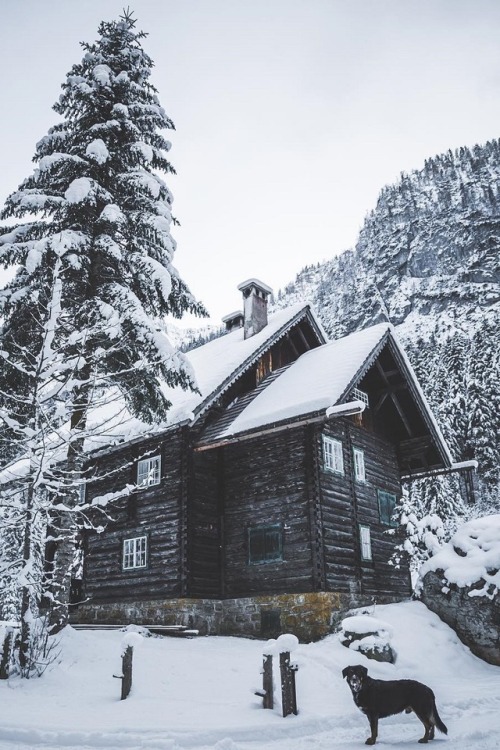 alecsgrg:  Perfect cabin for cold winter porn pictures