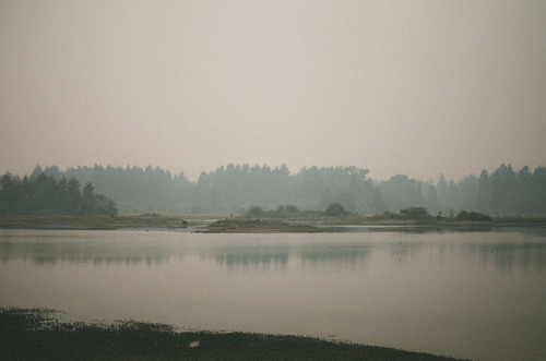 deeplovephotography:  smokey horizons  instagram | flickr | facebook