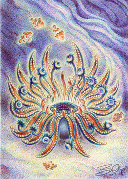 Nazar Fungus, Nazar Star Anemone Has Anemonfish Friends, and Meditation2.5 x 3.5 inches; ballpoint p