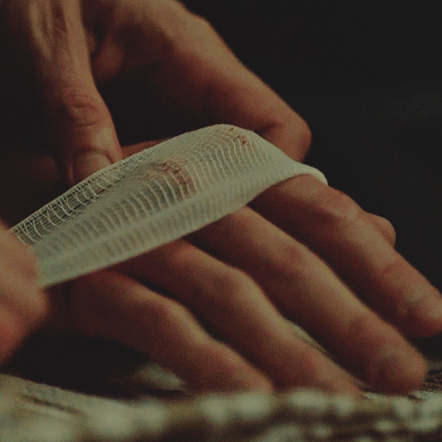 Hannibalicious