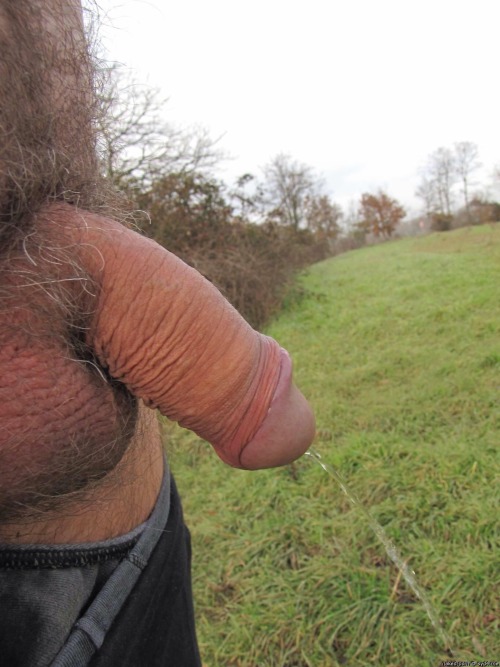 adolfo70:  bearluvr2479:  Delicious! Daddies, Bears, and Cubs!  Me gusta