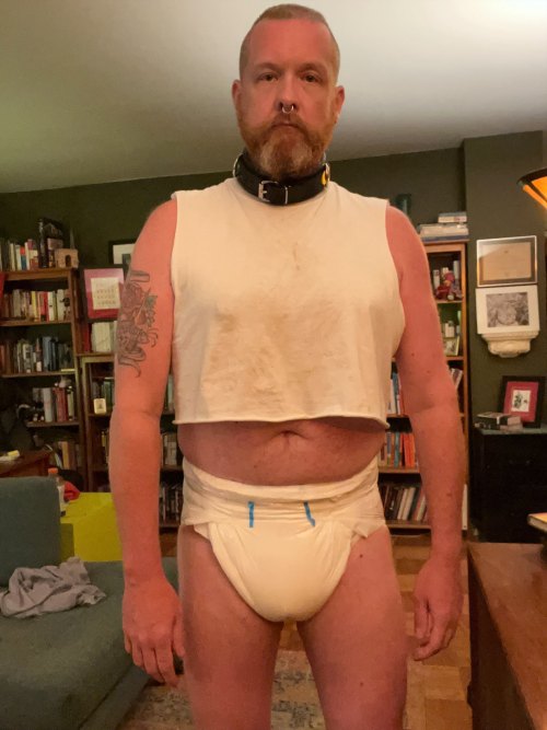 bufordsdiapers - Buford’s Diapers