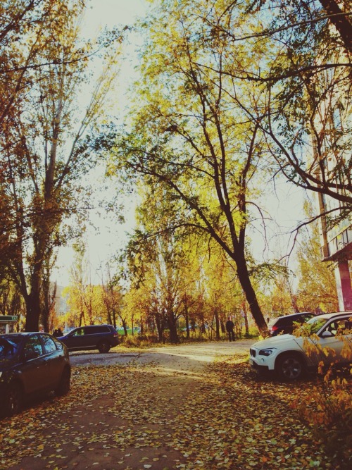 awtumnleafs:  want more autumn?! follow awtumnleafs