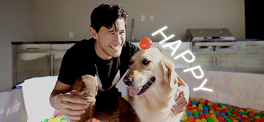markired:  🎉💛🎉