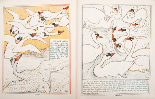 Theodorus van Hoytema, illustrations for The Ugly duckling, Het Leelijke Jonge Eendje, after the fai