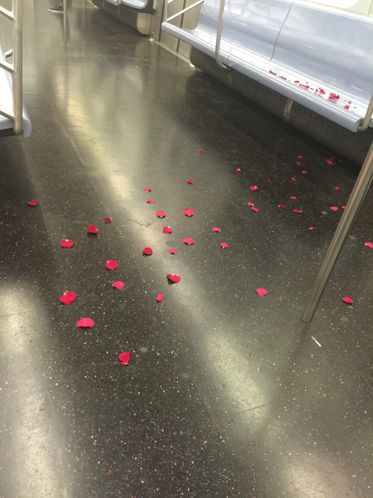 yawl:  someone just threw these rose petals at me in a very harsh manner. thanks