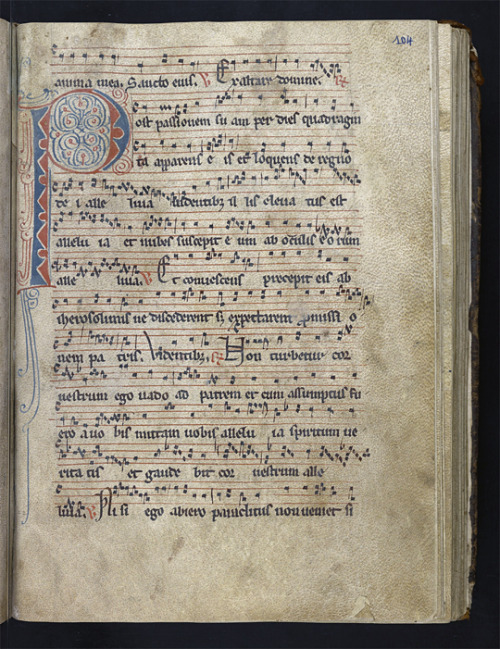 kyriellus:upennmanuscripts:A puzzle initial P from fol. 104r of Ms. Codex 1590. As we’ve explained b